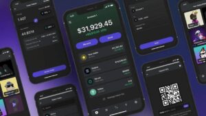 Người dùng bị hack ví
