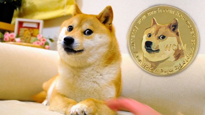 Có nên đầu tư vào DOGE không Có nên đầu tư vào DOGE không