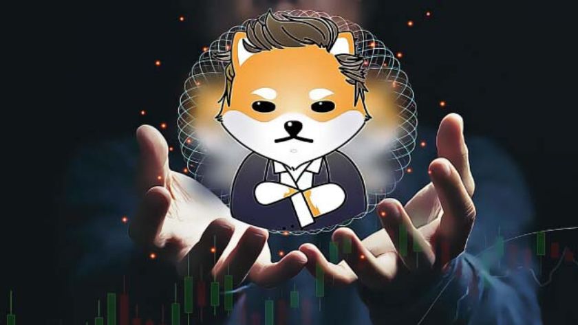 Dogelon (ELON) là gì Dogelon (ELON) là gì