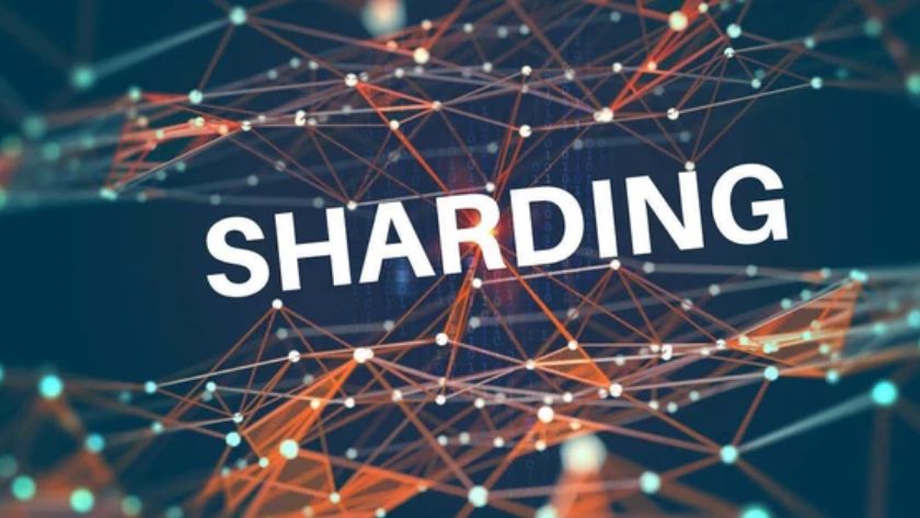 Sharding là gì Sharding là gì