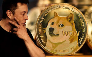 Vì sao Dogecoin rơi xuống dưới 0,13 USD khiến giới tổ chức chú ý?